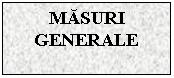 Text Box: MASURI GENERALE

