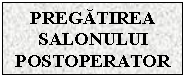 Text Box: PREGATIREA SALONULUI POSTOPERATOR

