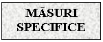 Text Box: MASURI SPECIFICE


