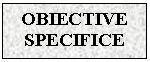 Text Box: OBIECTIVE SPECIFICE

