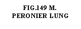 Text Box: .149 M.  PERONIER LUNG