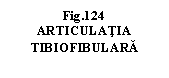 Text Box: .124   ARTICULATIA
TIBIOFIBULARA
