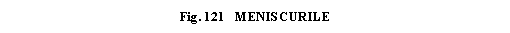 Text Box: . 121 MENISCURILE

