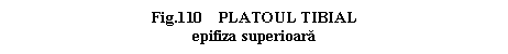 Text Box: .110 PLATOUL TIBIAL
epifiza superioara
