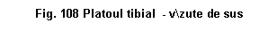 Text Box: . 108 Platoul tibial - v\zute de sus