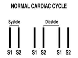 Heart sounds S1-S2