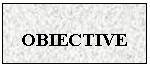 Text Box: OBIECTIVE


