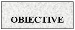 Text Box: OBIECTIVE

