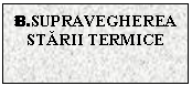 Text Box: B.SUPRAVEGHEREA STARII TERMICE

