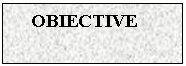 Text Box: OBIECTIVE