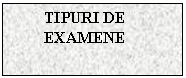 Text Box: TIPURI DE EXAMENE