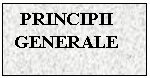 Text Box: PRINCIPII GENERALE