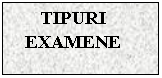 Text Box: TIPURI EXAMENE