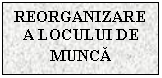 Text Box: REORGANIZAREA LOCULUI DE MUNCA