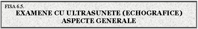 Text Box: FISA 6.5.
EXAMENE CU ULTRASUNETE (ECHOGRAFICE)
ASPECTE GENERALE
