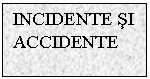 Text Box: INCIDENTE SI ACCIDENTE