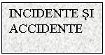 Text Box: INCIDENTE SI ACCIDENTE