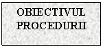 Text Box: OBIECTIVUL PROCEDURII