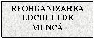 Text Box: REORGANIZAREA LOCULUI DE MUNCA