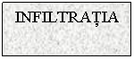 Text Box: INFILTRATIA