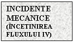Text Box: INCIDENTE
MECANICE (INCETINIREA FLUXULUI IV)
