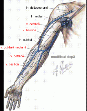 anestezie în operaiuni de venele venelor)