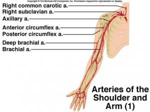 care ajută mai bine la artroza genunchiului la care rănesc articulațiile STI