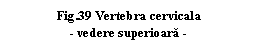 Text Box: .39 Vertebra cervicala 
- vedere superioara -
