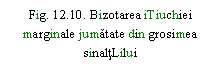 Text Box: . 12.10. Bizotarea iTiuchiei marginale jumatate din grosimea sinaltLilui