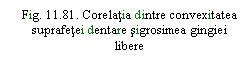 Text Box: . 11.81. Corelatia dintre convexitatea suprafetei dentare sigrosimea gingiei libere