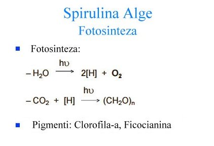 Spirulina Alge Fotosinteza