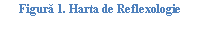 Text Box: ura 30. Harta de Reflexologie