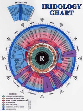 iridology.bmp