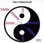 8 principles.jpg