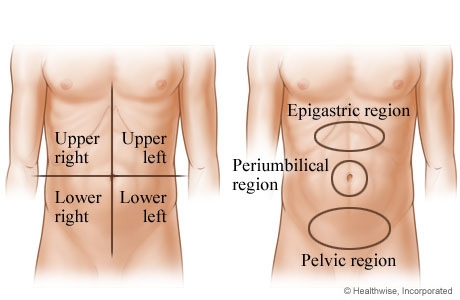 imagini abdomen