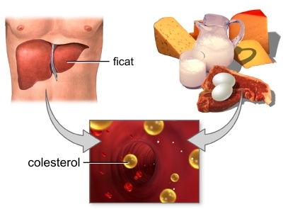 imagini colesterolul