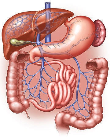 Digestie dificila - medicamente care usureaza digestia