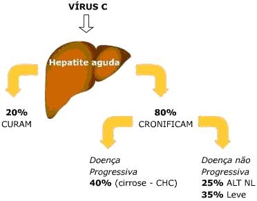 Hepatitele cronice - virusul hepatitic b (vhb)