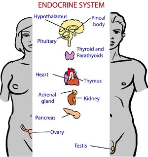 Hormonii androgeni