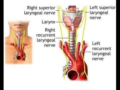 imagini/poza laringita