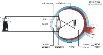 Ochiul-defecte de vedere calcularea dioptriilor pentru corectarea vederii - miopia