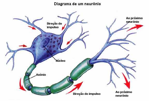 imagini nevralgia