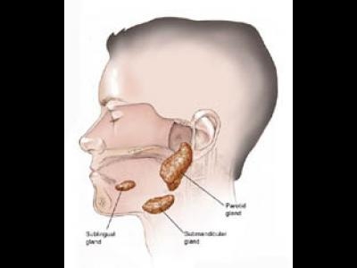 Parotidita epidemica = (oreion)