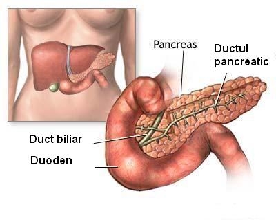 imagini pancreasul