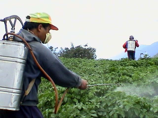 imagini pesticidele