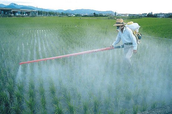images pesticidele