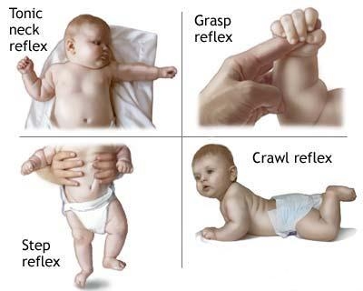 Clasificarea reflexelor - reflexele somatice, vegetative