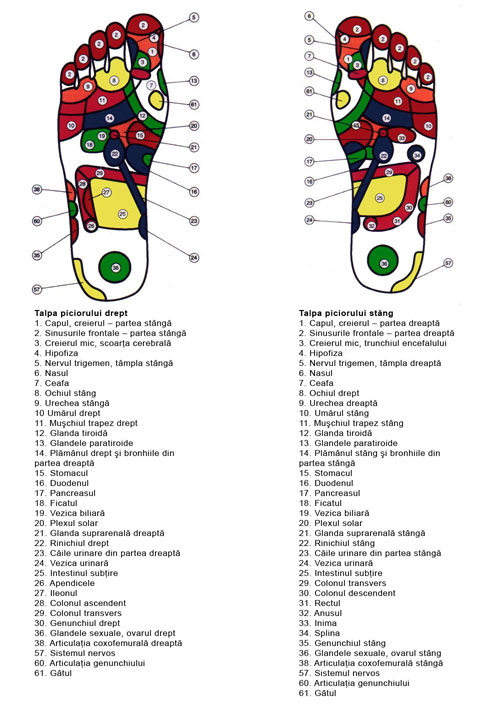 imagine cu reflexoterapie
