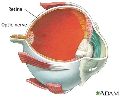 imagini retina