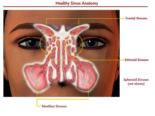 Sincopa reflexa - sindromul de sinus carotidian